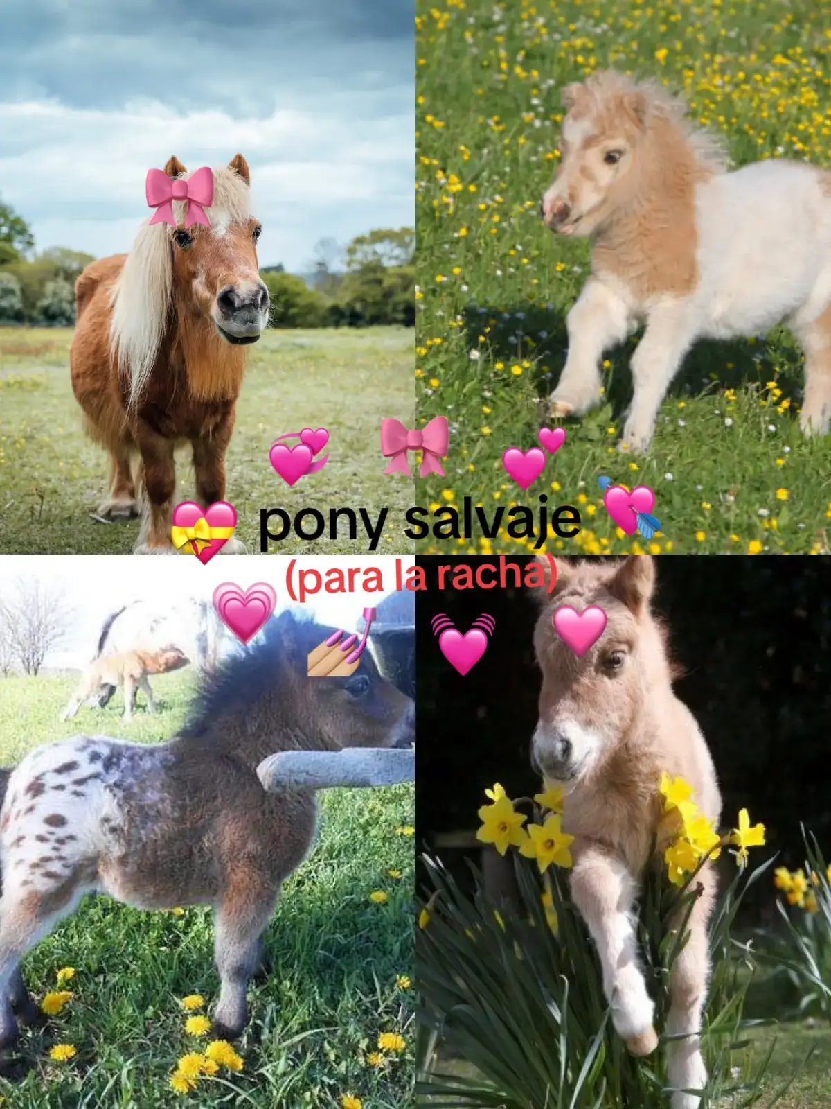 #ponysalvaje #ponysalvajeeeeeeeeeee #paratiiiiii 