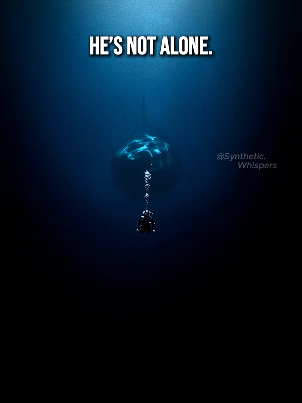 He thought he was alone… then the water shifted. 🌊🦈 #megalodon #horrortok #scaryvideo #deepsea #foundfootage #sharkattack #oceanhorror #colossalcreatures #creepytok #scarystory #fyp 