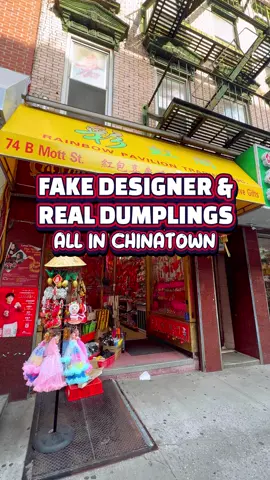 Chinatown isn’t just bootlegs and bargains it’s stories, spices, and soul. I came for the culture, stayed for the dumplings  #RealChinatown #NYCUnfiltered #NotJustCanalStreet