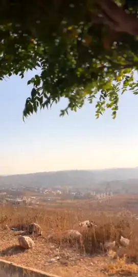 والله يَعلم وأنتُم لاتعلمونَ #reels__tiktok 