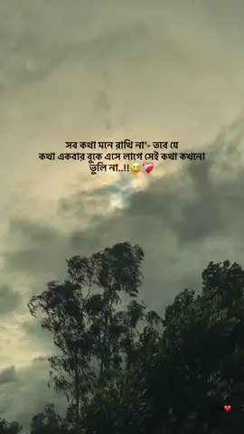 সব কথা মনে রাখি না'- তবে যে কথা একবার বুকে এসে লাগে সেই কথা কখনো  ভুলি না..!!😅❤️‍🩹 .. .. .. #sad #tiktok #trending #foryou #foryoupage #fyp #tiktokbangladesh #status #story #stitch 