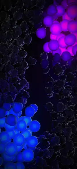 #abstract #abstractart #art #neon #livewallpaper #livewallpaper4k #壁紙4k #4kLiveWallpaperInTikTok #4kUltra #壁紙推薦#4klivewallpaper #livewallpaper8K #wallpaper #wallpapers #ライブ壁紙4K #8k #틱톡벽지#ផ្ទាំងរូបភាពផ្សាយបន្តផ្ទាល់4k #papeldeparedeaovivo #fonddécrananimé #hìnhnềnsống4k #живыеобои4k #아트월페이퍼 #5dlivewallpaper #zhivyye_oboi #خلفيةحية #動態壁紙 #라이브 배경화면 #wallpaperhidup4k #mobilelegends #живыеобои #живыеобоинателефон #IPhone 17 #wallpaperlive #hìnhnềnsống #mukbangasmr #MobileWallpaper #120fps #PhoneWallpaper #AestheticWallpaper #AnimatedWallpaper #wallpaperhidup4k #WallpaperArt #Xiomi #लाइववॉलपेपर4k #ζωντανήταπετσαρία #gyvitapetai #longervideos #ライブ壁紙 #tutorial #3dlivewallpaper #anime #fondosdepantalla4k #longervideo #usa #China #라이브벽지4k #लाइववॉलपेपर4k 