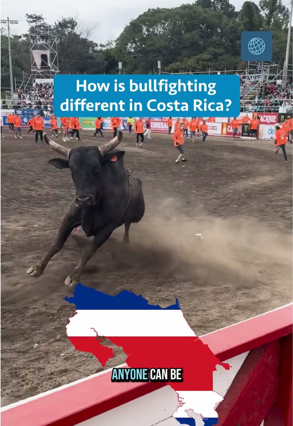 In Costa Rica, anyone can be a bullfighter. In a traditional Spanish bullfight, a professional bullfighter, or matador, fights a bull in an arena using a cape and a sword. The event usually ends with the bull’s death. Costa Rican bullfights were the same until the 1960s, Costa Rica banned killing the bulls. Now, the fights are about audience participation. Pedregal, a district in San José, hosts a bullfighting festival every year, and most of the events are just regular people running around an arena with a bull. The goal is to show off, without getting rammed by the bull. The participants, called “improvisers,” can even poke the bulls with sticks, but if they try to grab the animals, they’ll be told to let go. The only requirements for entry are that you are not drunk and don’t wear bulky clothing. A bullfighting commentator admitted the events are stressful for the bulls, but he clarified that “outside the shows, these valuable animals live ‘like kings.’” Still, there are occasional protests at these festivals. And injuries are still pretty common, with the Pedregal fighting complex having two medical clinics. People have broken bones and even had their ribs ripped open, but one man can’t explain why he keeps bullfighting. “It’s just pure adrenaline,” he said. 📸 Original story and videos by Jamie Fullerton for The World @GBH #Bullfighting #RunningoftheBulls #Pedregal #Matador 