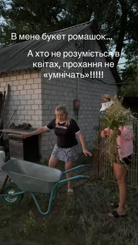#лобачромашки