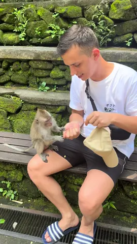 #ubud #seminyak #monkeyforest 