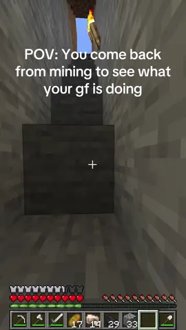 Why does she do this everytime! #fyp #foryou #tiktok #Minecraft #trending 