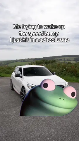 “Why does this speed bump have a bag on” #MemeCut #fyp #car #lizard #Meme 
