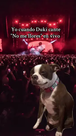 Pipipi#nomellores #dukissj100 #mododiablo #viral_video #quito_ecuador🇪🇨 #fypシ゚ #diabla 