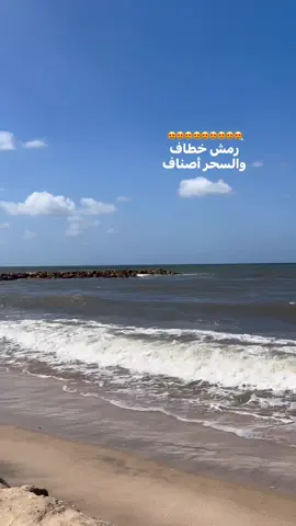#fypシ #amrdiab #foryou #viral #song #🤍 