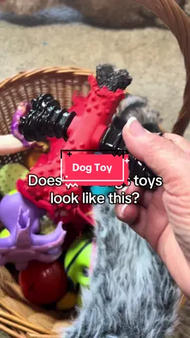 This beef flavored dog toy for aggressive chewers will keep your dog busy for hours. #dogtoys #durabledogtoys #dogs #dogsoftiktok #dealsforyoudays 
