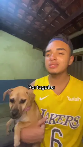 Confere a tradução?🤣 #nordeste #comedia 