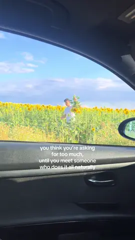 🤍 #lovelanguage #highstandards #flowers #boyfriendgoals #sunflower 