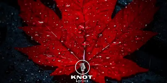 Kano Kari eri abo nga balina WhatsApp business account nga tebalina mirimu 🙄🧐mwe ba dear #yppppppppppppppppppppppp #trendingvideo #viraltiktok #foryoupage @💎STARBOY.2.5.6 @knot Lyrics 