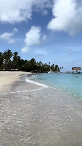 Pigeon point Tobago 
