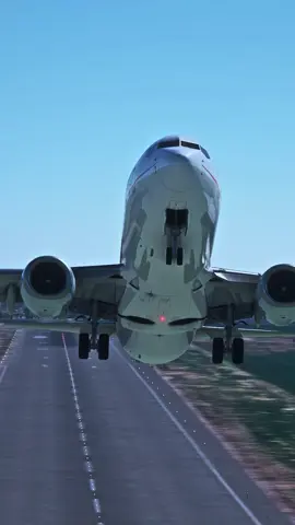 B737 Air Algérie  - - - #aviation #flight #fly #avgeek #planelovers #boeing #plane #airplane #msfs2020 #tiktok #viral