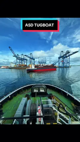 ASD TUGBOAT #asdtug #asdtugmaster #seamanlife #sea #harbour 