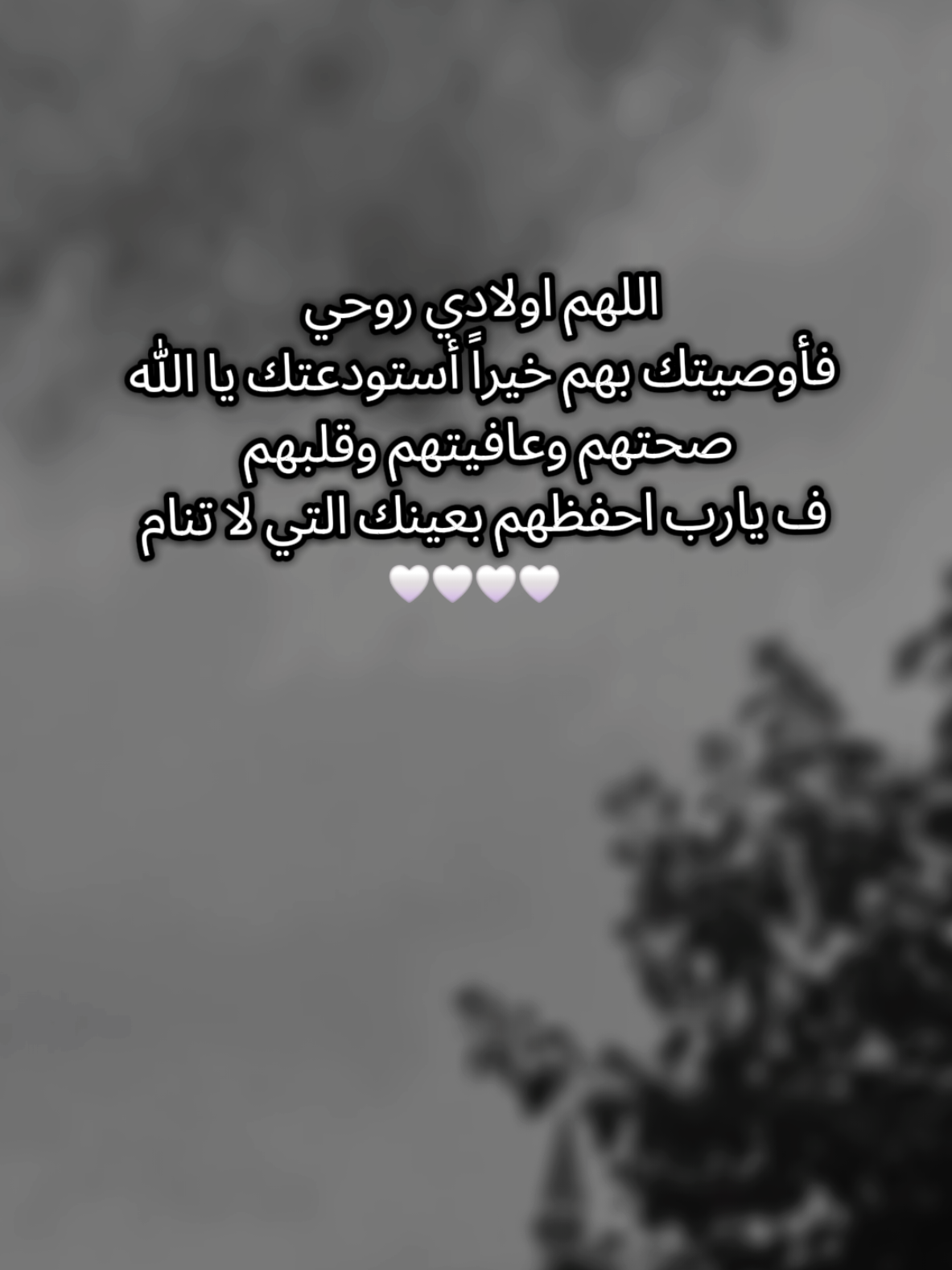 اللهم امين يارب🤍#ولادي_كل_حياتي_ربي_يحفظهم #اللهم_صلي_على_نبينا_محمد #بسم_الله_ماشاء_الله #الحمدلله_دائماً_وابداً #ماشاءالله_تبارك_الله_اذكروا_الله #شعب_الصيني_ماله_حل😂😂 #بيبي_عسولة🎀🍯 #دودو_الفرفوشة👑 #أم_حمودة👑 #دودو_أم_حمودة👑 #أم_ماسة_سيما_عسل👑 #أم_محمد_وماسة_وسيما_وعسل🤍 #الله_مصلي_عالنبي💙 #عملولي_أعادة_نشر🥺 #اكسبلوررررررر #تصويري📸 