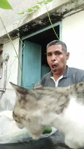 #ارحموا ما في الارض يرحمكم ما في السماء  #المغرب🇲🇦 #تونس🇹🇳 #الجزائر🇩🇿 # السعوديه 