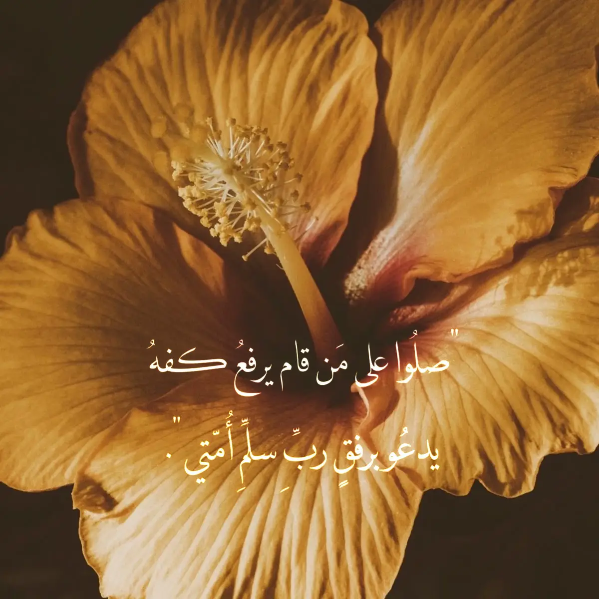 #قرآن #الجمعة 