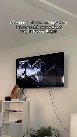 I love watching video games 