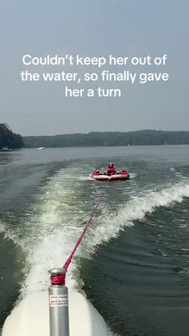 #doglife #fyp #dogsoftiktok #viral #lakedays #dogs #dogsofttiktok #blowthisup #dontletthisflop #livingmybestlife #foryoupage #foryourpage #catsoftiktok 