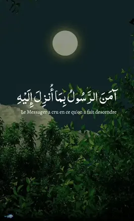 reposé vôtre ouï et votre cœur récitation quran belle voix  #million #quran_alkarim #قرآن_كريم_راحة_نفسية #quranrecitation #vira #fyp 