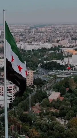 إني اهل العزم إن تدعى العزائم💚 #سوريا #الجمهورية_العربية_السورية #بلدي #سوريا🇸🇾 #دمشق #دمشق_الياسمين #اكسبلور #فولو #💚💚💚 