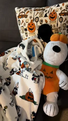Pretending it’s fall until the ‘ber months 🧸☕️🎃🪵🌥️ #fall #snoopy #october #autumn #cozy 