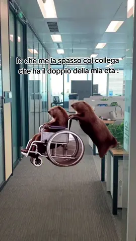 😂 . . . #perte #fyp #Meme #lavoro 