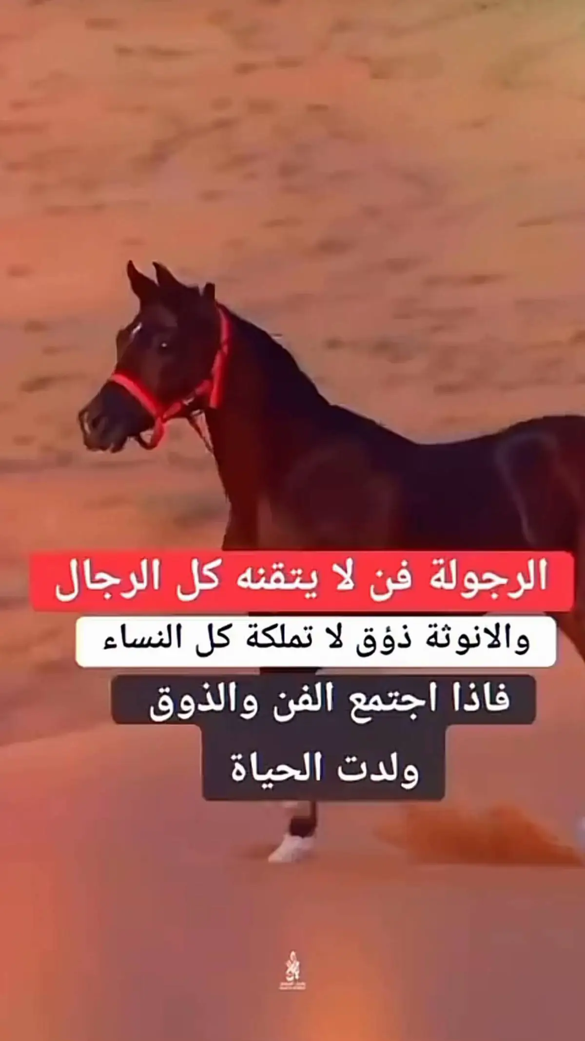 #يارفيقي_بيني_وبينك_ليا_جيت_اتكلم #أشغلتني_عزة_النفس_الله_يلعن_والديها🐎 #مجرد_ذووقツ🖤🎼 #صبحتم_بالخير❤️ 