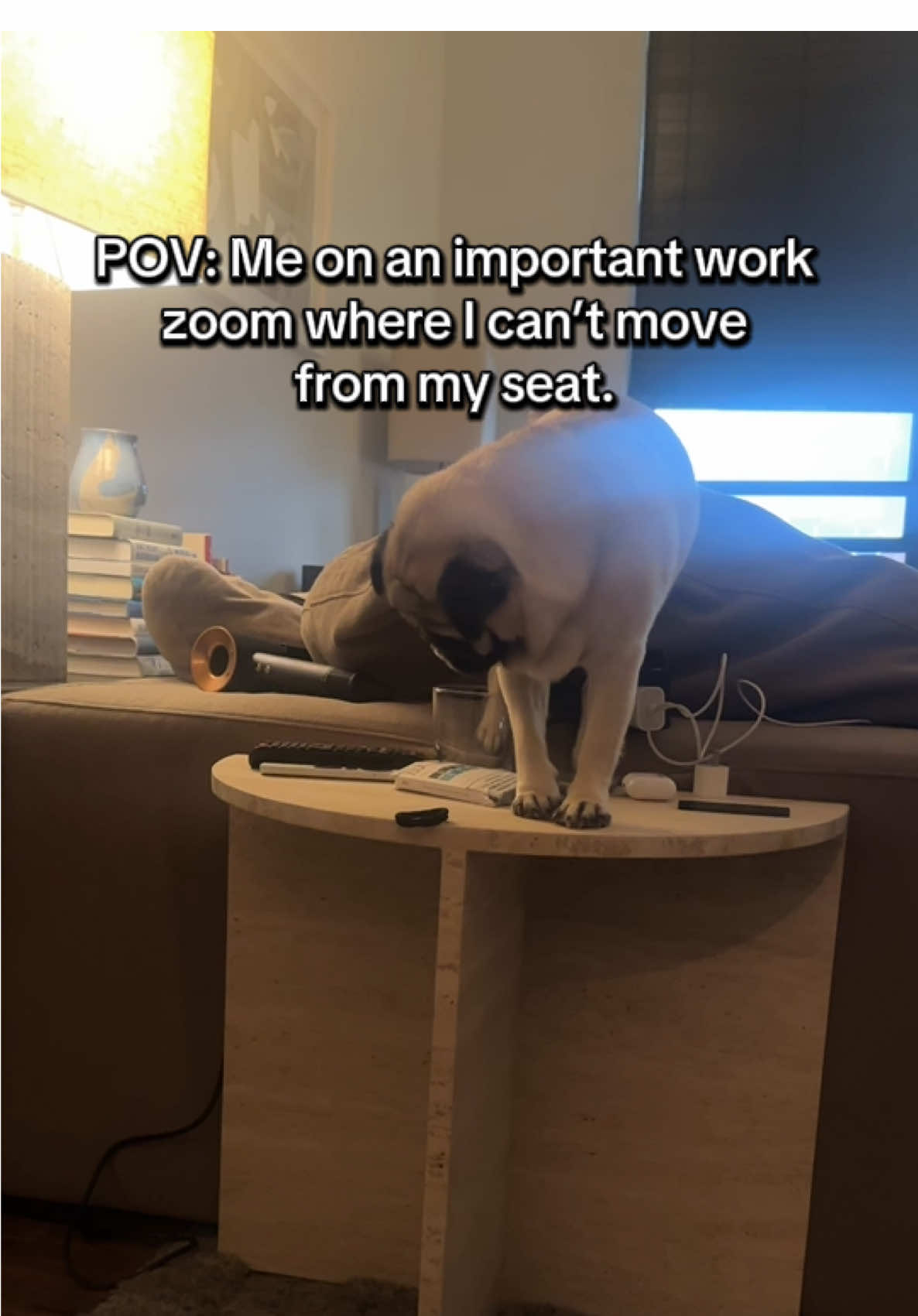 When you’re presenting to the client and your dog is scaling furniture, committing petty theft, and experimenting with nicotine.