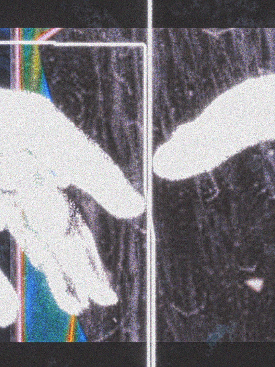 #webcore #motiondesign #ae #vfx #motiongraphics #aftereffectsedits #edits #abstract #japan #2000s #catsu #fyp #visuals #catmeme #3d #nostalgia #breakcore #peoples #aftereffect #aphextwin #obsessed #phreshboyswag
