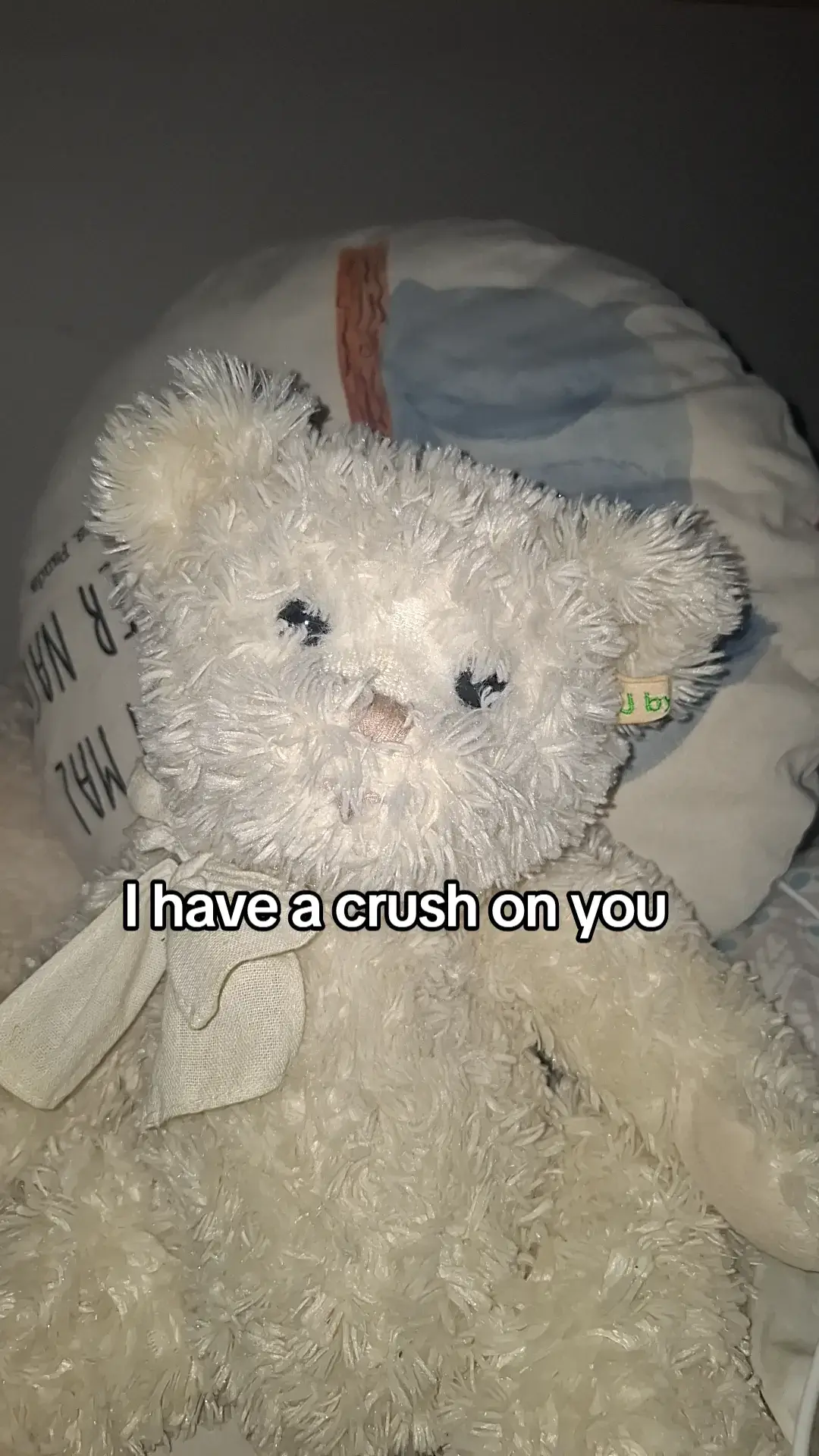 #Love #teddy #sendit #damn #night #weird