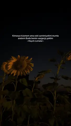 #storylikvideolar📌                      #anlamlısözler #fypシ゚viral🖤tiktok #dinivideolar #cumavideoları 