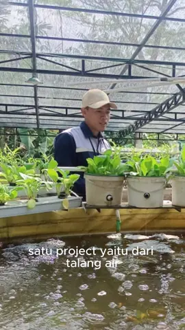 Magang Industri yang dilakukan oleh guru-guru SMK yang mengikuti Program Upskilling dan Reskilling dari @pertanian.kemendikdasmen. Periode 17 Juli - 24 Juli 2025, mereka belajar bersama dan praktek Budidaya Ikan Sistem Akuaponik. Angkatan 