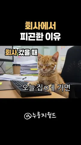 회사에서 피곤한 이유