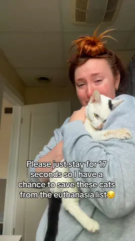 Thanks for staying #cats #shelter #animal 