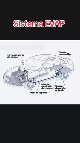 Funcionamiento del sistema EVAP #bombadegasolina #autotronica #diagnosticoautomotriz #tallerautomotrizlapaz #tallermecanicoautomotriz #elalto #lapaz #lapaz_bolivia🇧🇴 #evap #canister #electronicaautomotriz #electricidadautomotriz #elaltobolivia🇧🇴🥰 #electrovalvulas #gasolina #nafta #elalto 