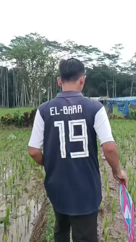main layangan seot berotot#seniman #layangansukhoi #layanganputus #sahabat #layanganseot