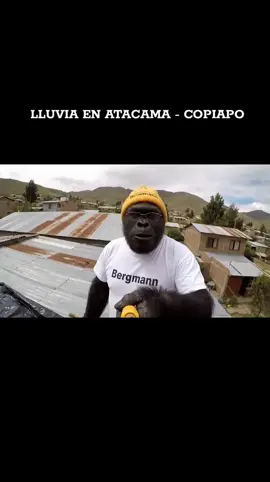 #locominero  #lluvia  #humor  #chile  #ia 