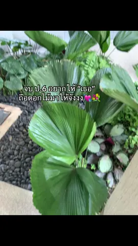 ส่งเช้าาาา #ฟีด #ฟีดดดシ #เธรด #เธรดความรู้สึก #เธรดแอบชอบ #เธรดเพลงเพราะシ🤍 #fyp #fypシ゚ #ไม่ฟีดงอลครับ💥💢 