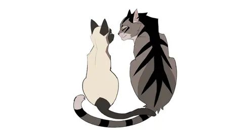 This is so stupid #warriors #hawkfrost #tigerstar
