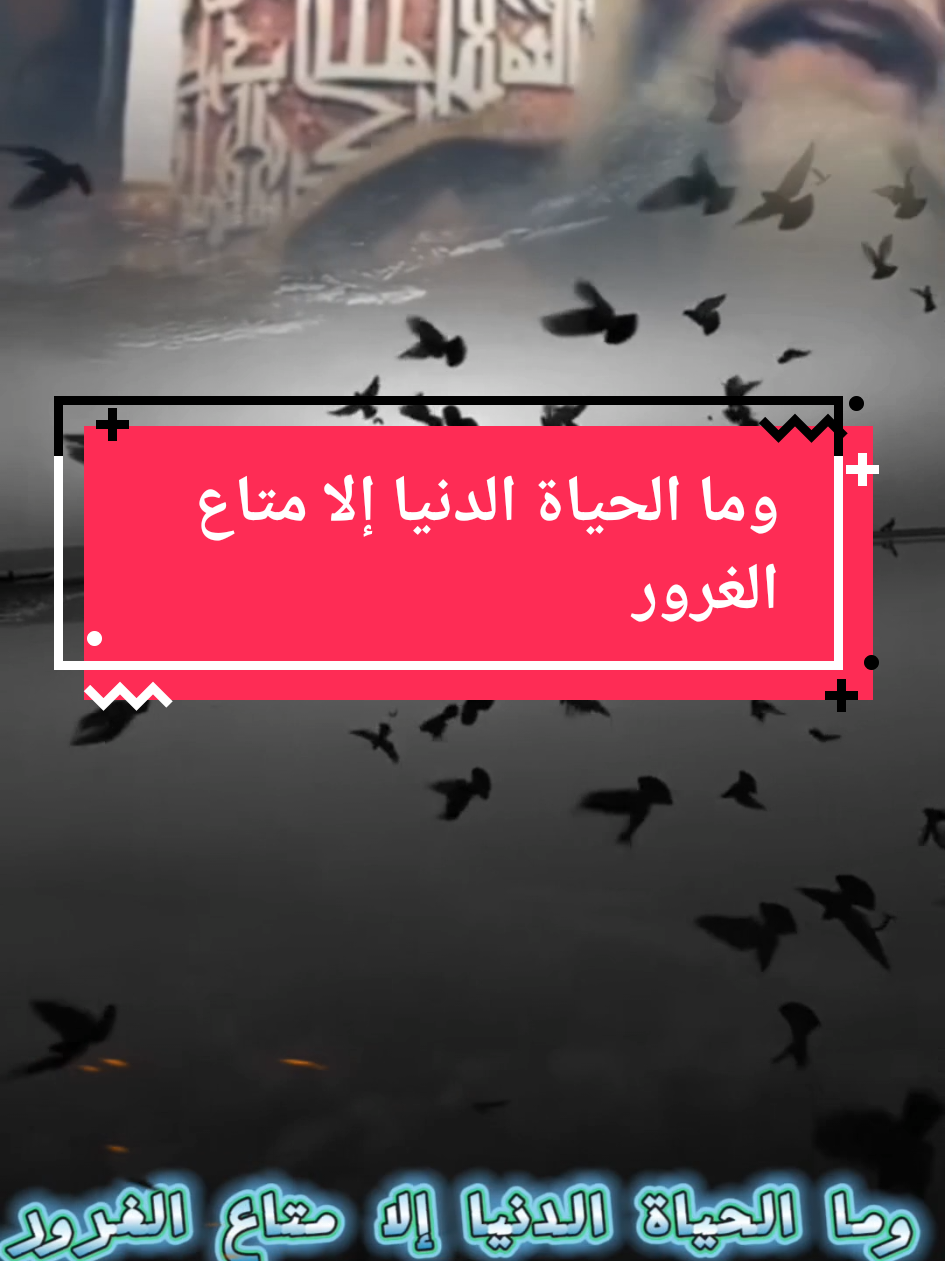 وما الحياة الدنيا إلا متاع الغرور #ذكر_الله #محتوى_ديني #اسلام #مواعظ_دينيه_جميلة #الشيخ_محمد_ڨورين 