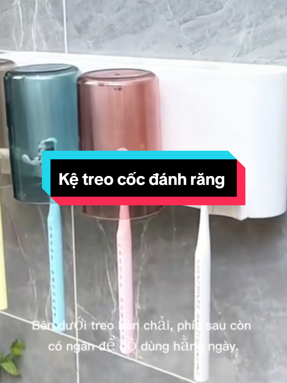 Kệ treo cốc đánh răng cao cấp #kecocdanhrang #kecocdanhrangupnguoc #kecocbanchaikemdanhrang #kebanchaidanhrang 