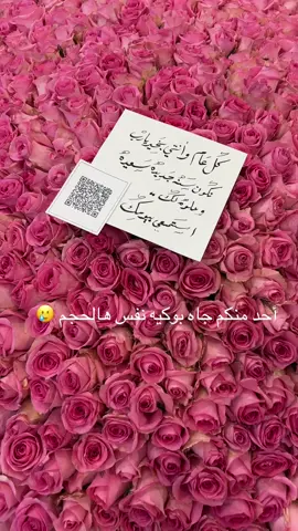 بوكيه ورد كبير جداً 🌻👌🏻#ورد #تنسيق_ورد_مع_فلوس 