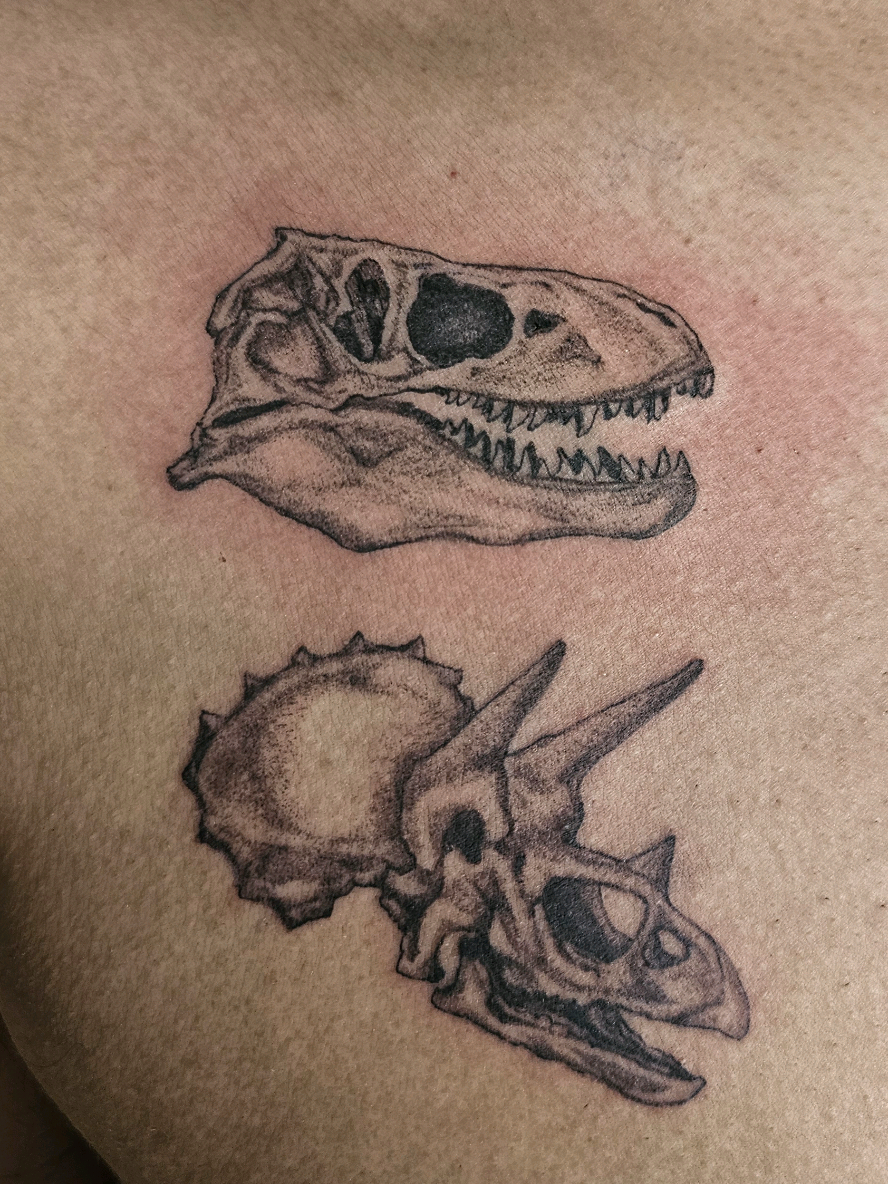 amo tatuar huesitos, ig: @lithiink #tattoo #process #tatuaje #tatuadora #mexico #fyp #huesitos #bones #dinosaurios #trex #triceratops #skull #craneo #blackwork 