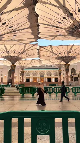 #المسجد_النبوي #المدينة 