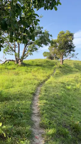 Pang myday mo oh! #naturelover #naturephotography #nature #naturalbeauty #fyppppppppppppppppppppppp #fyp 