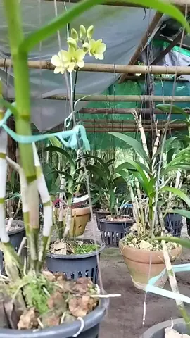 #😍😍😍 #😍😍😍 ##😍😍😍 