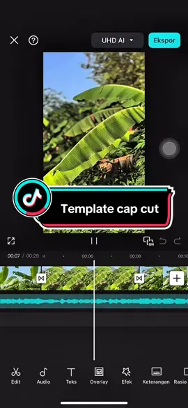 #CapCut Cinematic dance flor#gen_zcapcut #fypシ゚ #fypviral #trend #capcut #soundviral 